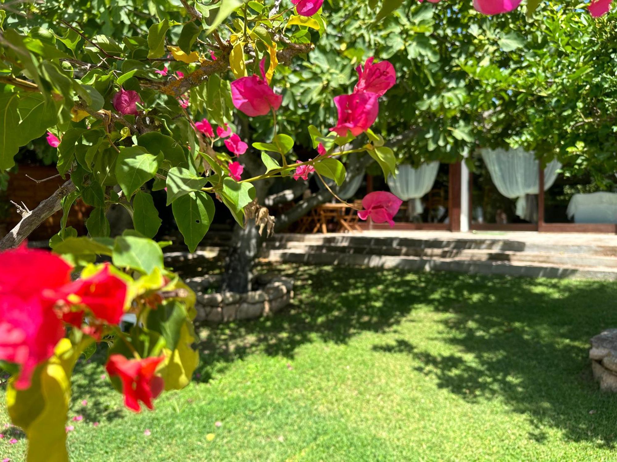 Villa Niloan Олбия Екстериор снимка